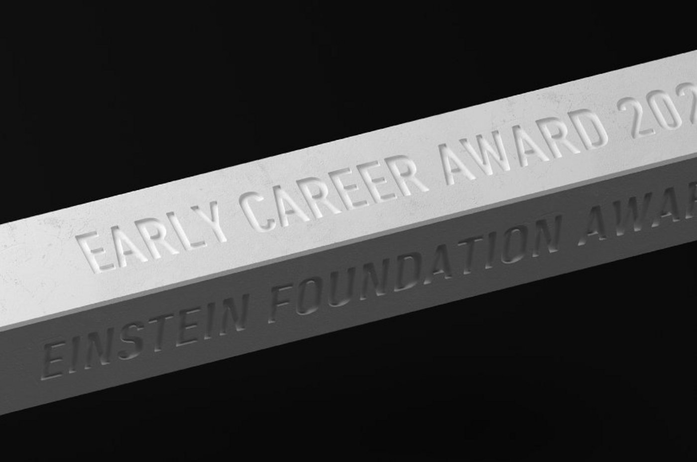Kreidetrophäe Einstein Foundation Award
