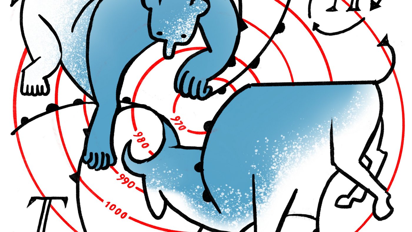 Illustration Bulle und Bär als Wetterwirbel