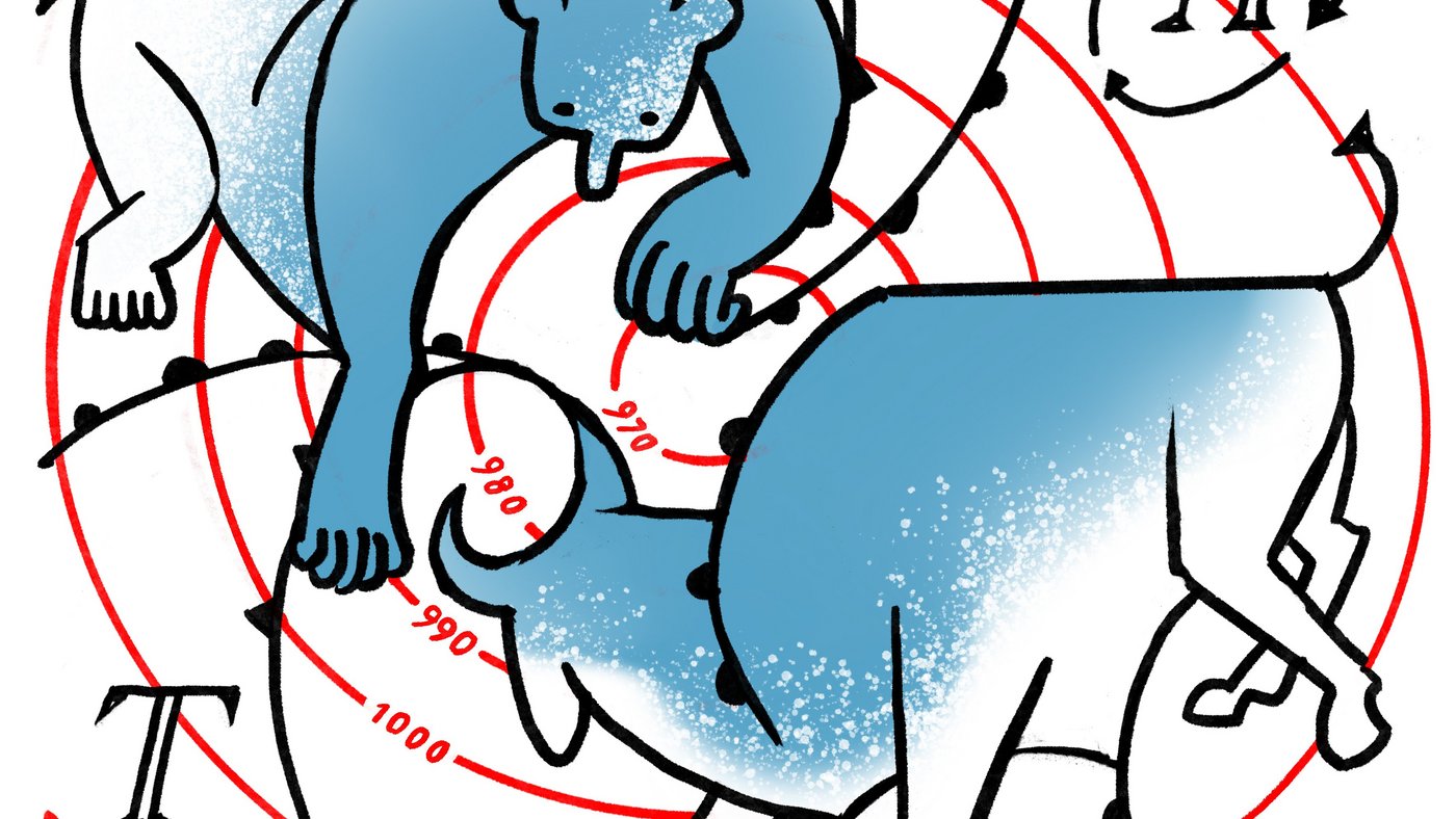 Illustration Bulle und Bär als Wetterwirbel